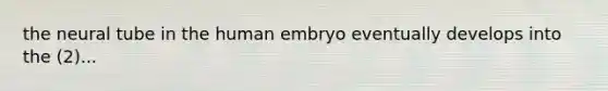 the neural tube in the human embryo eventually develops into the (2)...