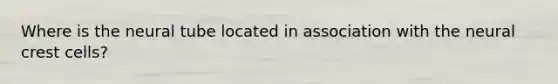 Where is the neural tube located in association with the neural crest cells?