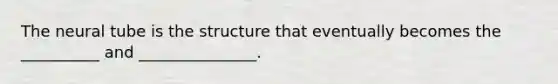 The neural tube is the structure that eventually becomes the __________ and _______________.