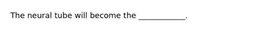 The neural tube will become the ____________.