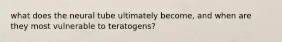 what does the neural tube ultimately become, and when are they most vulnerable to teratogens?