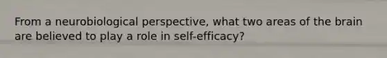 From a neurobiological perspective, what two areas of the brain are believed to play a role in self-efficacy?