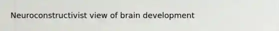 Neuroconstructivist view of brain development