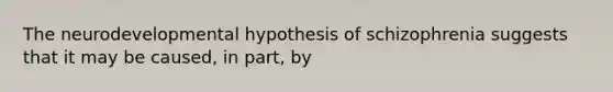 The neurodevelopmental hypothesis of schizophrenia suggests that it may be caused, in part, by