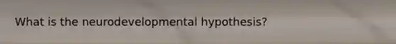 What is the neurodevelopmental hypothesis?