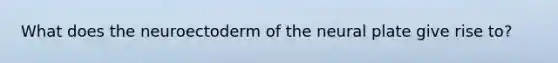 What does the neuroectoderm of the neural plate give rise to?