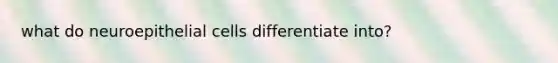 what do neuroepithelial cells differentiate into?