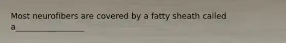 Most neurofibers are covered by a fatty sheath called a_________________