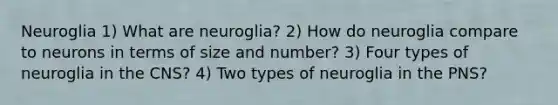 Neuroglia 1) What are neuroglia? 2) How do neuroglia compare to neurons in terms of size and number? 3) Four types of neuroglia in the CNS? 4) Two types of neuroglia in the PNS?