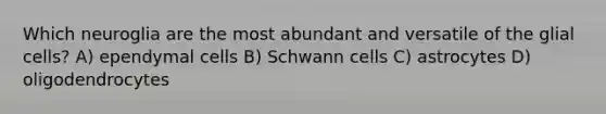 Which neuroglia are the most abundant and versatile of the glial cells? A) ependymal cells B) Schwann cells C) astrocytes D) oligodendrocytes