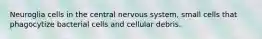 Neuroglia cells in the central nervous system, small cells that phagocytize bacterial cells and cellular debris.