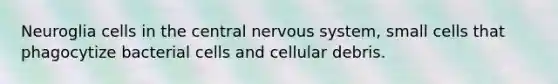 Neuroglia cells in the central <a href='https://www.questionai.com/knowledge/kThdVqrsqy-nervous-system' class='anchor-knowledge'>nervous system</a>, small cells that phagocytize bacterial cells and cellular debris.