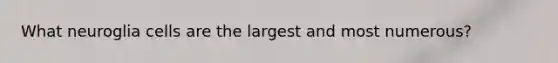 What neuroglia cells are the largest and most numerous?