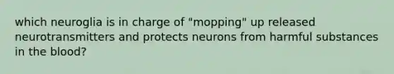 which neuroglia is in charge of "mopping" up released neurotransmitters and protects neurons from harmful substances in the blood?