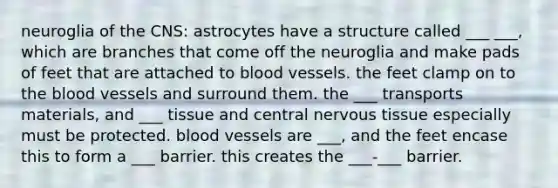 neuroglia of the CNS: astrocytes have a structure called ___ ___, which are branches that come off the neuroglia and make pads of feet that are attached to blood vessels. the feet clamp on to the blood vessels and surround them. the ___ transports materials, and ___ tissue and central nervous tissue especially must be protected. blood vessels are ___, and the feet encase this to form a ___ barrier. this creates the ___-___ barrier.