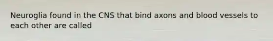 Neuroglia found in the CNS that bind axons and blood vessels to each other are called