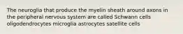 The neuroglia that produce the myelin sheath around axons in the peripheral nervous system are called Schwann cells oligodendrocytes microglia astrocytes satellite cells