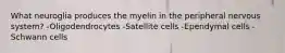 What neuroglia produces the myelin in the peripheral nervous system? -Oligodendrocytes -Satellite cells -Ependymal cells -Schwann cells