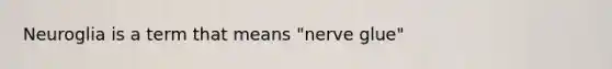 Neuroglia is a term that means "nerve glue"