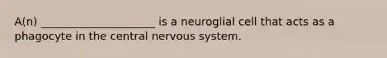 A(n) _____________________ is a neuroglial cell that acts as a phagocyte in the central nervous system.