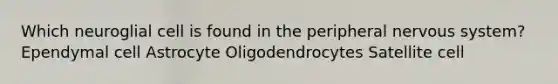 Which neuroglial cell is found in the peripheral nervous system? Ependymal cell Astrocyte Oligodendrocytes Satellite cell