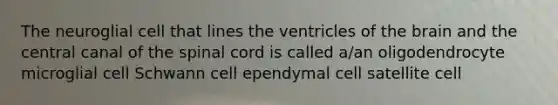 The neuroglial cell that lines the ventricles of <a href='https://www.questionai.com/knowledge/kLMtJeqKp6-the-brain' class='anchor-knowledge'>the brain</a> and the central canal of <a href='https://www.questionai.com/knowledge/kkAfzcJHuZ-the-spinal-cord' class='anchor-knowledge'>the spinal cord</a> is called a/an oligodendrocyte microglial cell Schwann cell ependymal cell satellite cell