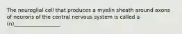 The neuroglial cell that produces a myelin sheath around axons of neurons of the central nervous system is called a (n)__________________