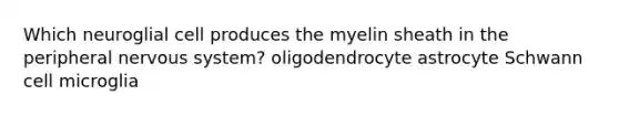 Which neuroglial cell produces the myelin sheath in the peripheral nervous system? oligodendrocyte astrocyte Schwann cell microglia