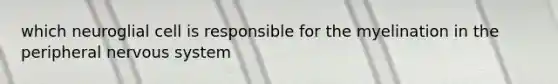 which neuroglial cell is responsible for the myelination in the peripheral nervous system