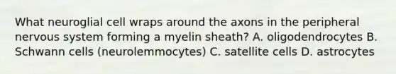 What neuroglial cell wraps around the axons in the peripheral nervous system forming a myelin sheath? A. oligodendrocytes B. Schwann cells (neurolemmocytes) C. satellite cells D. astrocytes