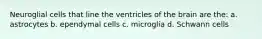 Neuroglial cells that line the ventricles of the brain are the: a. astrocytes b. ependymal cells c. microglia d. Schwann cells