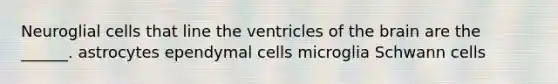 Neuroglial cells that line the ventricles of <a href='https://www.questionai.com/knowledge/kLMtJeqKp6-the-brain' class='anchor-knowledge'>the brain</a> are the ______. astrocytes ependymal cells microglia Schwann cells