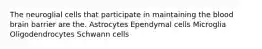 The neuroglial cells that participate in maintaining the blood brain barrier are the. Astrocytes Ependymal cells Microglia Oligodendrocytes Schwann cells