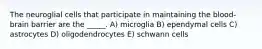 The neuroglial cells that participate in maintaining the blood-brain barrier are the _____. A) microglia B) ependymal cells C) astrocytes D) oligodendrocytes E) schwann cells