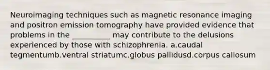 Neuroimaging techniques such as magnetic resonance imaging and positron emission tomography have provided evidence that problems in the __________ may contribute to the delusions experienced by those with schizophrenia. a.caudal tegmentumb.ventral striatumc.globus pallidusd.corpus callosum