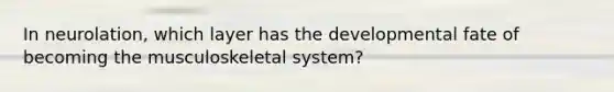 In neurolation, which layer has the developmental fate of becoming the musculoskeletal system?