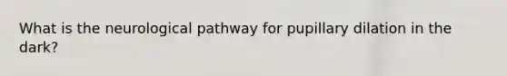 What is the neurological pathway for pupillary dilation in the dark?