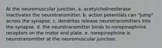 At the neuromuscular junction, a. acetylcholinesterase inactivates the neurotransmitter. b. action potentials can "jump" across the synapse. c. dendrites release neurotransmitters into the synapse. d. the neurotransmitter binds to norepinephrine receptors on the motor end plate. e. norepinephrine is neurotransmitter at the neuromuscular junction.