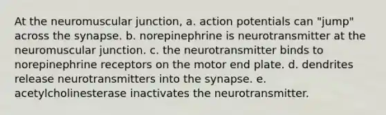 At the neuromuscular junction, a. action potentials can "jump" across the synapse. b. norepinephrine is neurotransmitter at the neuromuscular junction. c. the neurotransmitter binds to norepinephrine receptors on the motor end plate. d. dendrites release neurotransmitters into the synapse. e. acetylcholinesterase inactivates the neurotransmitter.