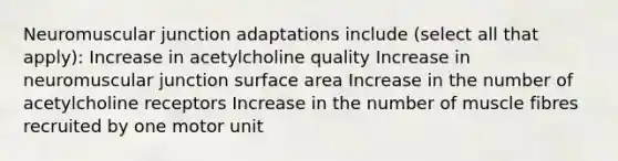 Neuromuscular junction adaptations include (select all that apply): Increase in acetylcholine quality Increase in neuromuscular junction surface area Increase in the number of acetylcholine receptors Increase in the number of muscle fibres recruited by one motor unit