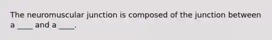 The neuromuscular junction is composed of the junction between a ____ and a ____.