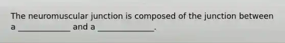 The neuromuscular junction is composed of the junction between a _____________ and a ______________.