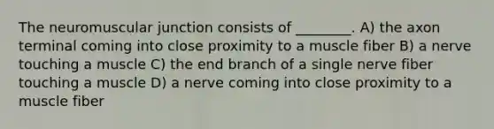 The neuromuscular junction consists of ________. A) the axon terminal coming into close proximity to a muscle fiber B) a nerve touching a muscle C) the end branch of a single nerve fiber touching a muscle D) a nerve coming into close proximity to a muscle fiber