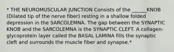 * THE NEUROMUSCULAR JUNCTION Consists of the ______KNOB (Dilated tip of the nerve fiber) resting in a shallow folded depression in the SARCOLEMNA. The gap between the SYNAPTIC KNOB and the SARCOLEMNA is the SYNAPTIC CLEFT. A collagen-glycoprotein layer called the BASAL LAMINA fills the synaptic cleft and surrounds the muscle fiber and synapse.*