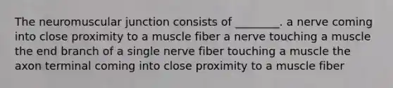 The neuromuscular junction consists of ________. a nerve coming into close proximity to a muscle fiber a nerve touching a muscle the end branch of a single nerve fiber touching a muscle the axon terminal coming into close proximity to a muscle fiber