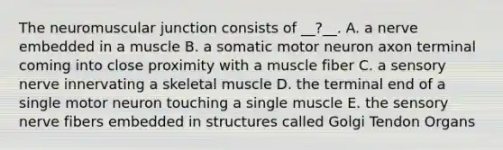 The neuromuscular junction consists of __?__. A. a nerve embedded in a muscle B. a somatic motor neuron axon terminal coming into close proximity with a muscle fiber C. a sensory nerve innervating a skeletal muscle D. the terminal end of a single motor neuron touching a single muscle E. the sensory nerve fibers embedded in structures called Golgi Tendon Organs