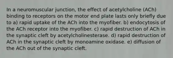 In a neuromuscular junction, the effect of acetylcholine (ACh) binding to receptors on the motor end plate lasts only briefly due to a) rapid uptake of the ACh into the myofiber. b) endocytosis of the ACh receptor into the myofiber. c) rapid destruction of ACh in the synaptic cleft by acetylcholinesterase. d) rapid destruction of ACh in the synaptic cleft by monoamine oxidase. e) diffusion of the ACh out of the synaptic cleft.