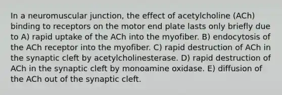 In a neuromuscular junction, the effect of acetylcholine (ACh) binding to receptors on the motor end plate lasts only briefly due to A) rapid uptake of the ACh into the myofiber. B) endocytosis of the ACh receptor into the myofiber. C) rapid destruction of ACh in the synaptic cleft by acetylcholinesterase. D) rapid destruction of ACh in the synaptic cleft by monoamine oxidase. E) diffusion of the ACh out of the synaptic cleft.