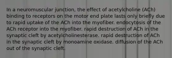 In a neuromuscular junction, the effect of acetylcholine (ACh) binding to receptors on the motor end plate lasts only briefly due to rapid uptake of the ACh into the myofiber. endocytosis of the ACh receptor into the myofiber. rapid destruction of ACh in the synaptic cleft by acetylcholinesterase. rapid destruction of ACh in the synaptic cleft by monoamine oxidase. diffusion of the ACh out of the synaptic cleft.