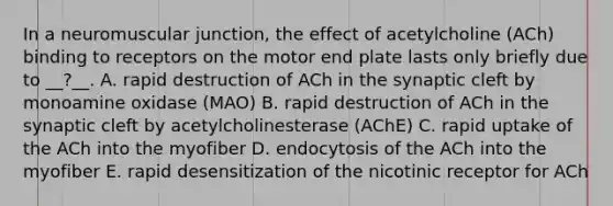 In a neuromuscular junction, the effect of acetylcholine (ACh) binding to receptors on the motor end plate lasts only briefly due to __?__. A. rapid destruction of ACh in the synaptic cleft by monoamine oxidase (MAO) B. rapid destruction of ACh in the synaptic cleft by acetylcholinesterase (AChE) C. rapid uptake of the ACh into the myofiber D. endocytosis of the ACh into the myofiber E. rapid desensitization of the nicotinic receptor for ACh